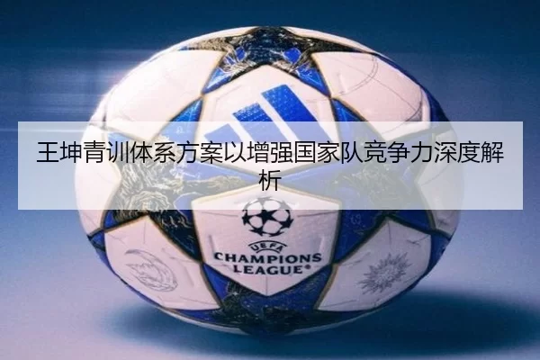 王坤青训体系方案以增强国家队竞争力深度解析