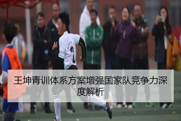 王坤青训体系方案增强国家队竞争力深度解析